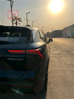 جيتور داشينج